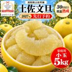 土佐文旦 5kg