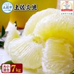 土佐文旦 大小混合 7kg