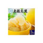 温室土佐文旦 用5kg