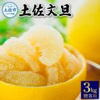 温室土佐文旦 用3kg