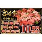 ふるさと納税 宮崎牛焼肉10種盛り合わせ 宮崎牛 焼肉 10種 盛り合わせ 食べ比べ セット 焼肉セット 詰め合わせ アウトドア キャンプ 網焼き 贈答.. 宮崎県宮崎市