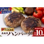 ふるさと納税 美崎牛ハンバーグ100g×10個【 お肉 美崎牛 ハンバーグ 牛肉 肉 】O-6 沖縄県石垣市