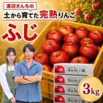 りんご 完熟 ふじ 3kg