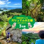 北部やんばる ガジュマルの王様に会いに行こう♪
