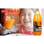 ふるさと納税 みかん100％ジュース　POM　愛媛みかんストレート　1L×6本入【愛媛県産 温州 みかん 柑橘 ミカン オレンジ ポンジュース 飲み.. 愛媛県砥部町