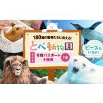 入場券 とべ動物園 年間パスポート 1枚
