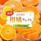 みかんえひめの柑橘セレクト定期便 みかん
