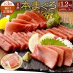 本マグロ 中トロ2柵 400g