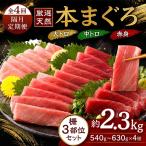 天然本マグロ 大トロ 中トロ 赤身 540g以上