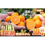 ふるさと納税 完熟 有田 みかん 訳あり 10kg 久幸園 / 温州みかん 有田みかん 甘い 家庭用 和歌山 柑橘 ※11〜1月下旬順次発送 【hsk004-c-10C.. 和歌山県広川町