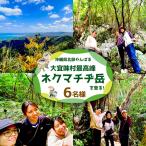 北部やんばる 最高峰ネクマチヂ岳を登る