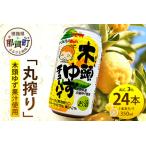 ふるさと納税 木頭ゆずチューハイ 350ml 24本入り【徳島 那賀 木頭 木頭ゆず 木頭ユズ 木頭柚子 ゆず ユズ 柚子 柑橘 お酒 酒 チューハイ 缶酎ハ.. 徳島県那賀町