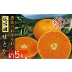 ふるさと納税 【先行予約】 【2026年2月下旬から発送予定】 せとか B品 家庭用5kg | 愛媛産 愛媛県産 国産 愛媛みかん 愛媛蜜柑 愛媛ミカン み.. 愛媛県松山市