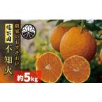ふるさと納税 【デコポンと同品種】【2026年2月下旬から発送】不知火 B品 家庭用 5kg でこぽん【RNK0072】 愛媛県松山市