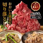 おおいた豊美牛切り落とし 600g