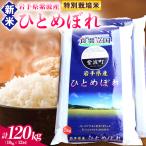 お米 10kg