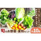 野菜 果物 詰め合わせセット 自然栽培 10品