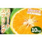 スイートスプリング 10kg