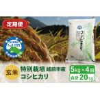 令和6年度新米 玄米 特別栽培 産コシヒカリ 5kg×4回