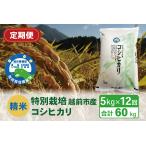 令和6年度新米 精米 特別栽培 産コシヒカリ 5kg×12回