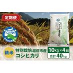 令和6年度新米 精米 特別栽培 産コシヒカリ 10kg×4回