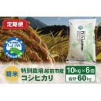令和6年度新米 精米 特別栽培 産コシヒカリ 10kg×6回