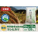 令和6年度新米 精米 特別栽培 産コシヒカリ 10kg×12回