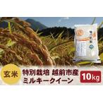 ふるさと納税 【令和5年度新米 玄米】特別栽培 越前市産ミルキークイーン 10kg 福井県越前市