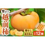 ふるさと納税 【先行予約】【種なし】 甘い！越前柿12個入り 脱渋済み 本場柿原郷で収穫 / かき フルーツ 福井県 あわら市 甘い 大きい柿 秋 .. 福井県あわら市