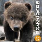 のぼりべつクマ牧場入場券 大人 中学生以上 1名様