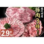 南九州産豚肉3種セット 切り落し バラスライス