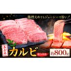 あか牛 ヒレ肉 800g
