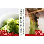 fu.... налог fn-39-014 три суша производство сырой . черепаха * мекабу комплект [2 месяц сверху . из 3 месяц средний . примерно доставка рейс ] Yamaki ichi магазин Iwate префектура котел камень город 