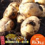 BH050 じゃがいも 訳あり ながさき黄金
