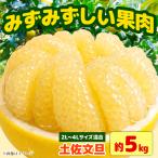 土佐文旦 大玉 約5kg