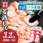 鶏肉 もも肉