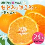 せとみ&はるみの食べ比べ_果物 フルーツ