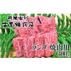 飛騨牛 5等級 ランプ 焼き肉用 300g
