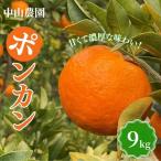 中山農園のポンカン9kg※ 予定※ ぽんかん