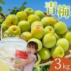 中山農園の南高梅 青梅3kg※ 予定※ 紀州南高梅