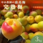 中山農園の南高梅 完熟梅3kg※ 予定※