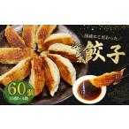 ふるさと納税 ジャンボ 餃子 60個 餃子 静岡県藤枝市