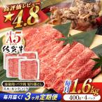 牛肉切り落とし 佐賀牛 総計4.8kg NAB250