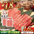 牛肉切り落とし 佐賀牛 総計9.6kg NAB251