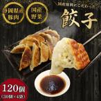 冷凍餃子 120個
