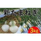 新たまねぎ3kg 野菜 サラダ 玉ねぎ たまねぎ
