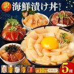 訳あり 漬け丼 5種×各2P 計10P 丼