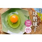 球磨球子 160個×3回