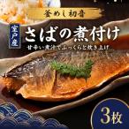 室戸さば 煮付け 半身3枚 さば HN