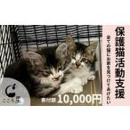 保護猫 活動支援 寄付額10,000円 支援